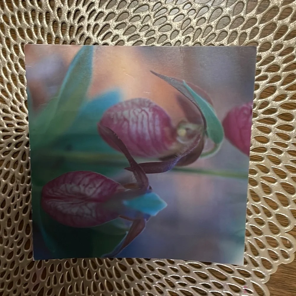 Collectible Antique Vintage. 2005 Orchids Postcard.